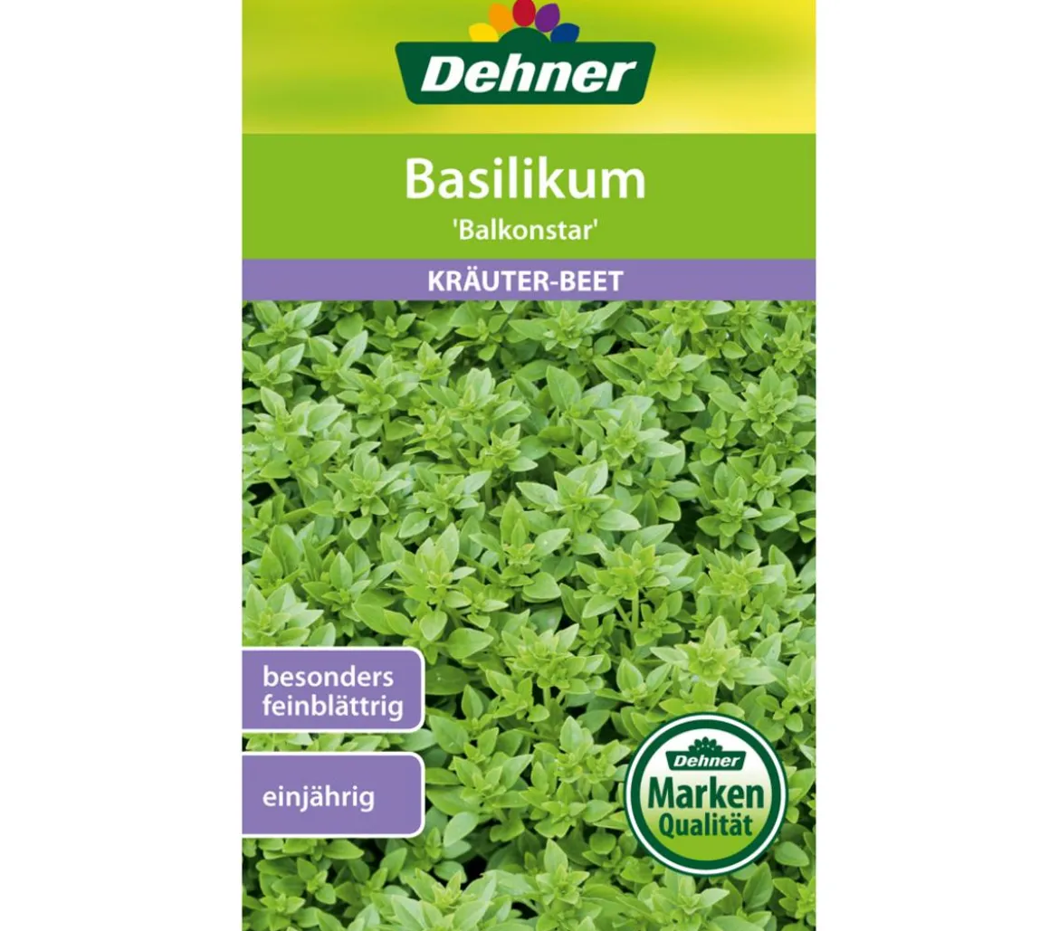 Dehner Samen Basilikum 'Balkonstar'