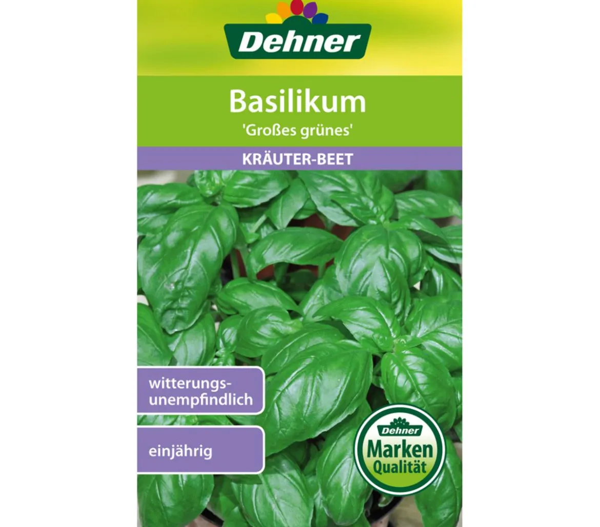 Dehner Samen Basilikum 'Großes grünes'