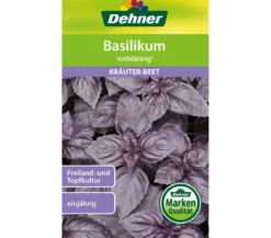 Dehner Samen Basilikum 'rotblättrig'