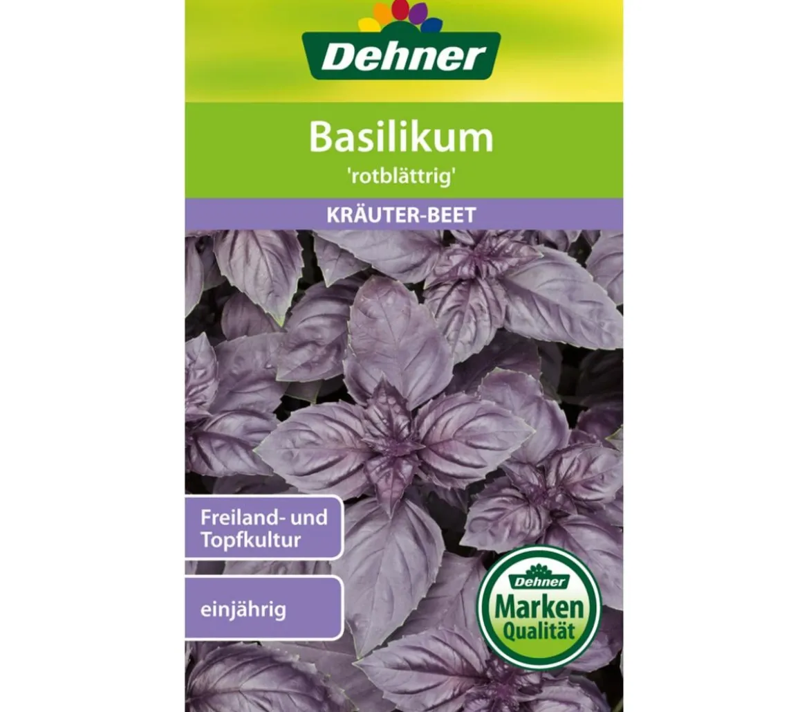 Dehner Samen Basilikum 'rotblättrig'