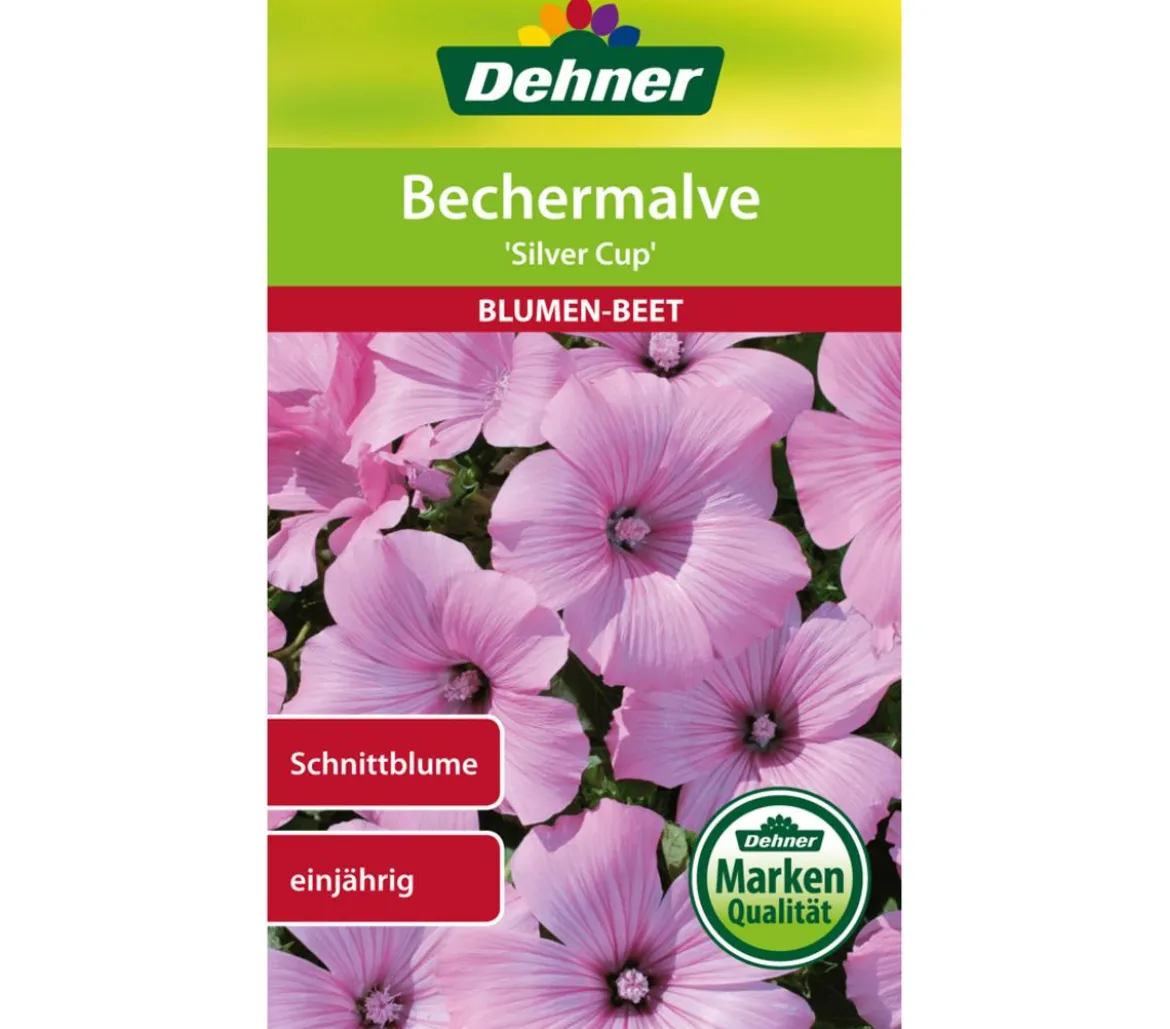 Dehner Samen Bechermalve 'Silver Cup'
