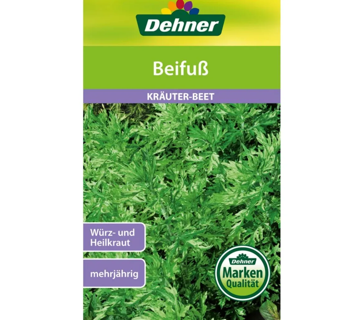 Dehner Samen Beifuß