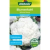 Dehner Samen Blumenkohl 'Erfurter Zwerg'
