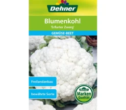 Dehner Samen Blumenkohl 'Erfurter Zwerg'
