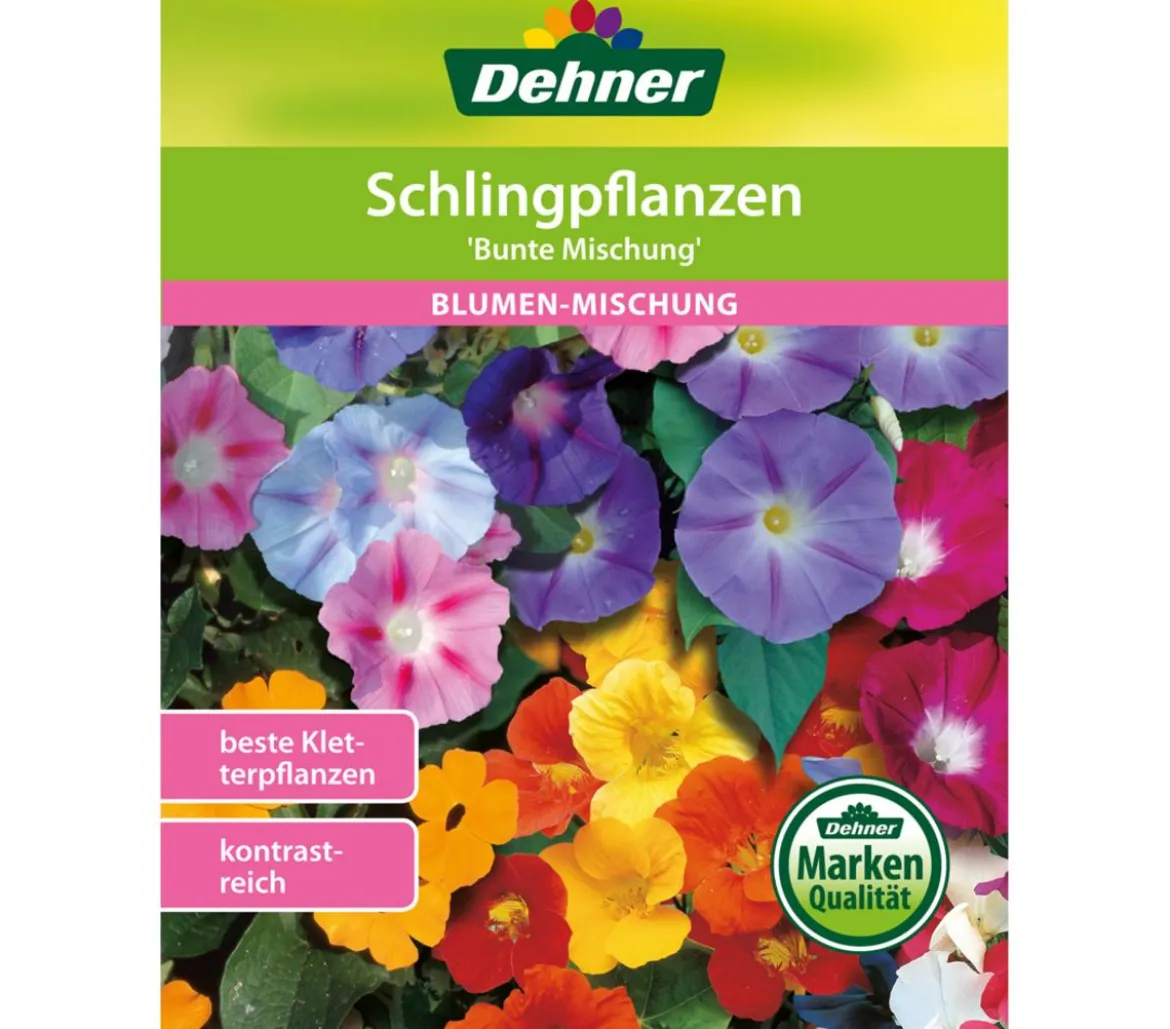 Dehner Samen Blumenmischung 'Schlingpflanzen'