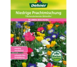 Dehner Samen Blumenmischung 'Niedrige Prachtmischung'