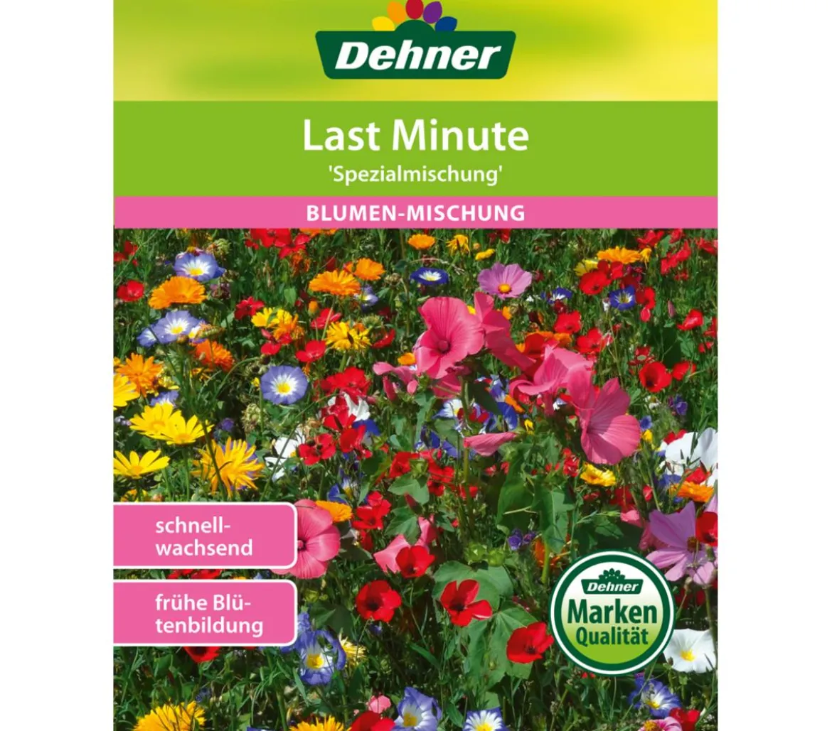 Dehner Samen Blumenmischung 'Last Minute'