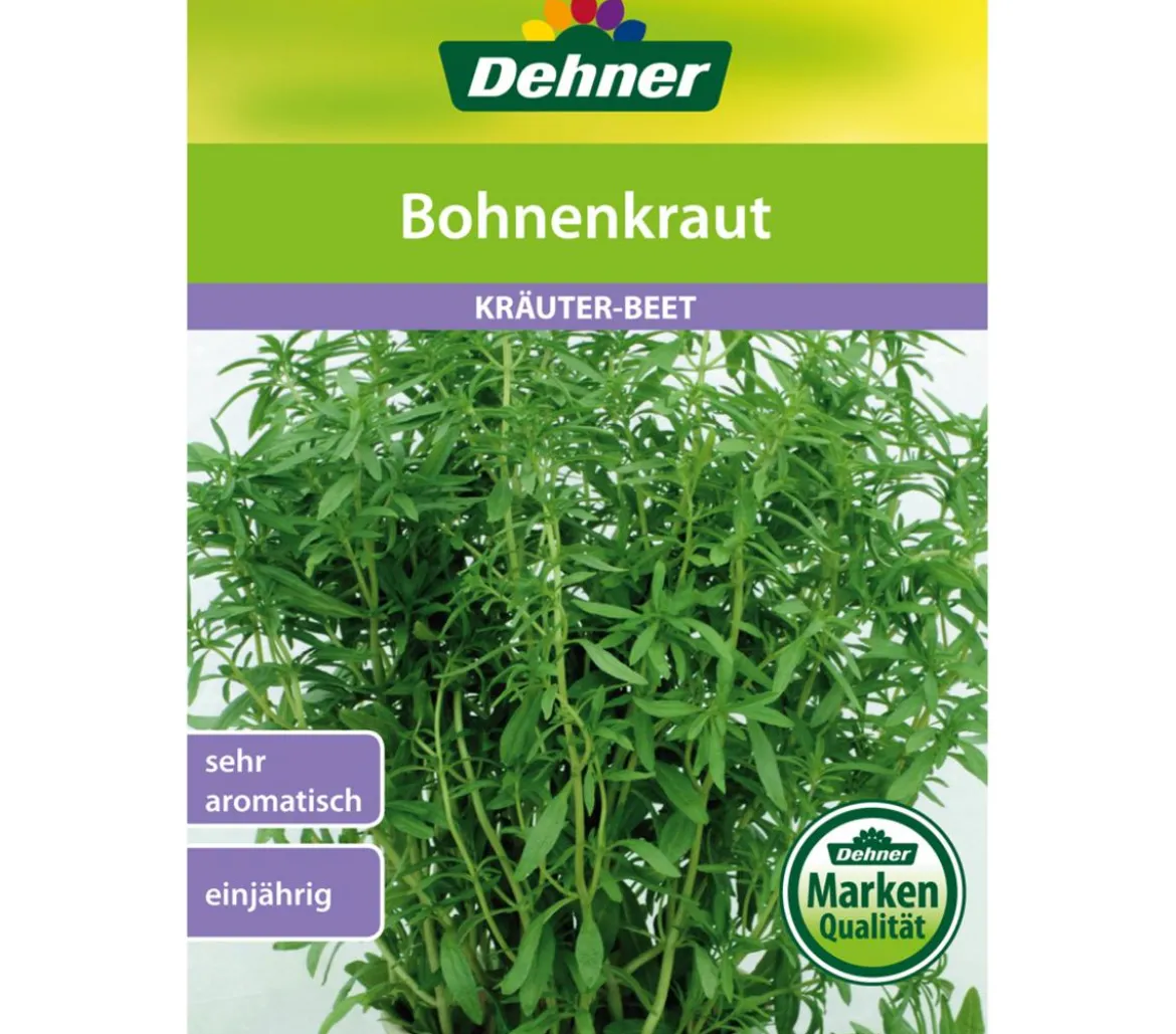 Dehner Samen Bohnenkraut