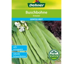 Dehner Samen Buschbohne 'Artemis'