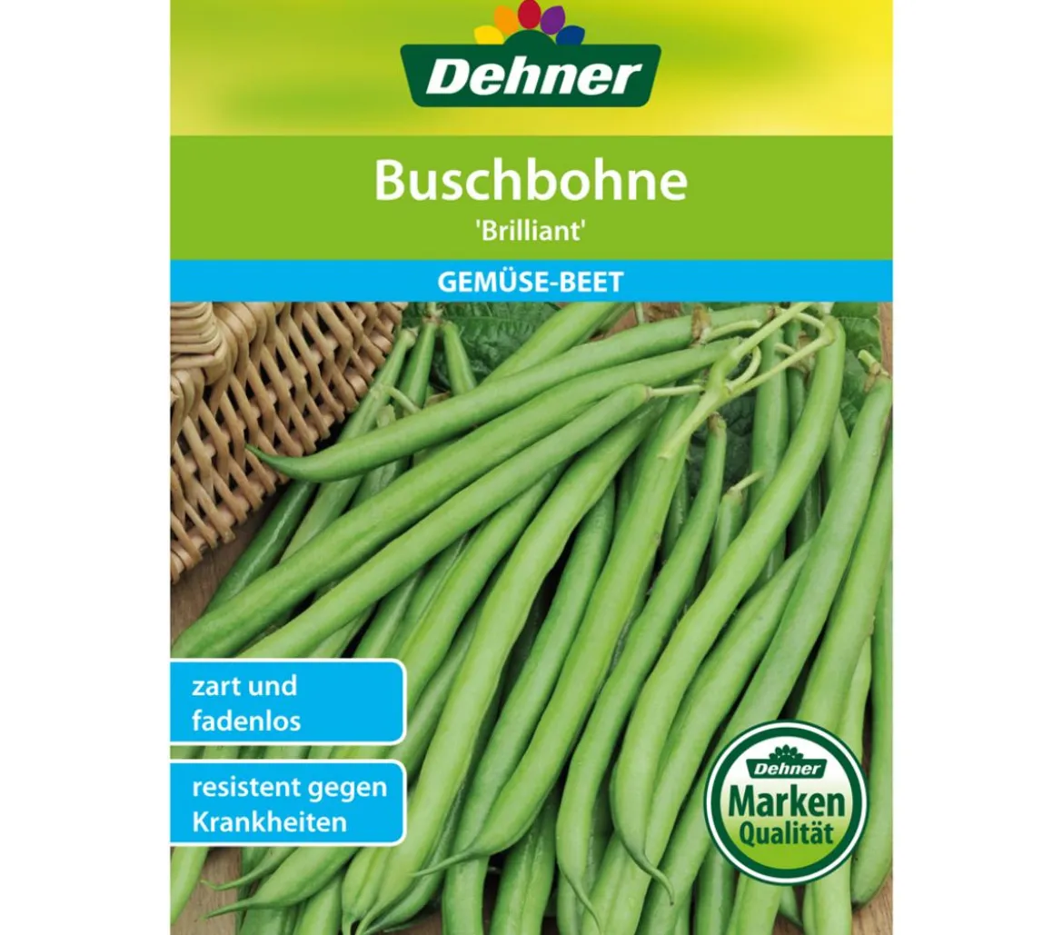 Dehner Samen Buschbohne 'Brilliant'