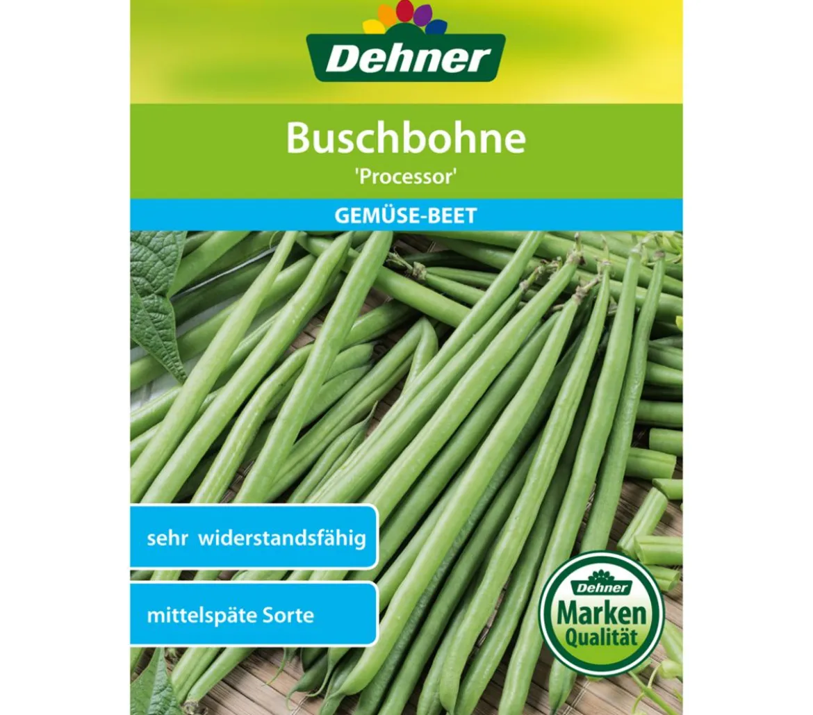 Dehner Samen Buschbohne 'Processor'