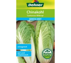 Dehner Samen Chinakohl 'Cantonner Witkrop'