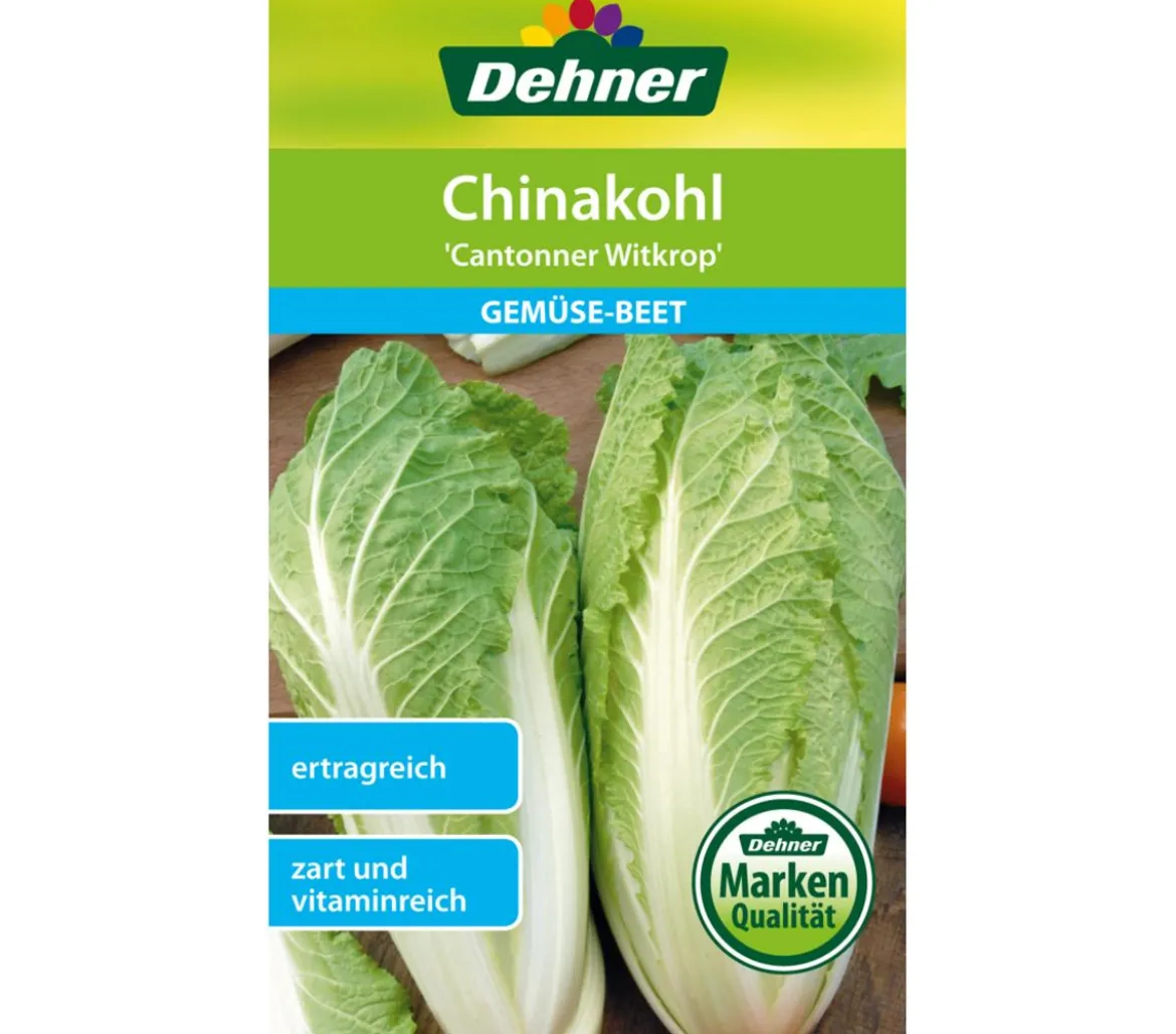 Dehner Samen Chinakohl 'Cantonner Witkrop'