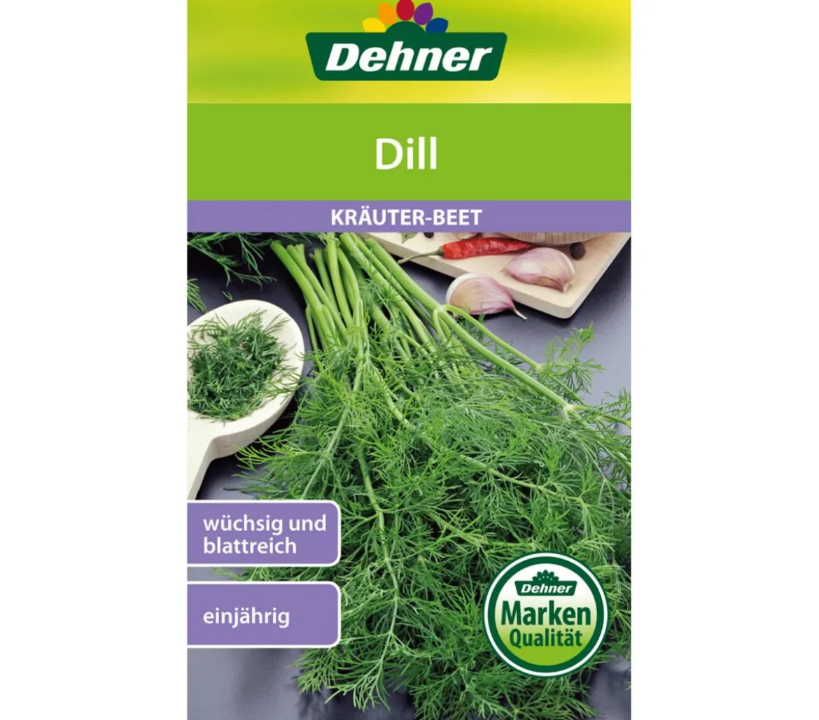Dehner Samen Dill
