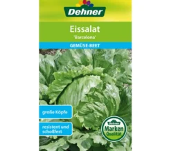 Dehner Samen Eissalat 'Barcelona'