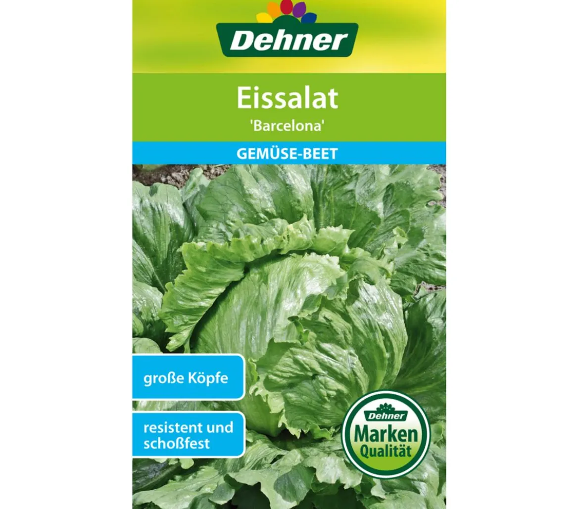 Dehner Samen Eissalat 'Barcelona'
