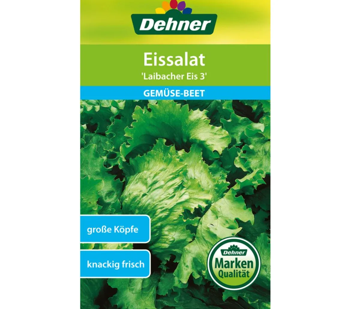 Dehner Samen Eissalat 'Laibacher Eis 3'