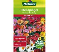 Dehner Samen Elfenspiegel 'Triumph Mischung'