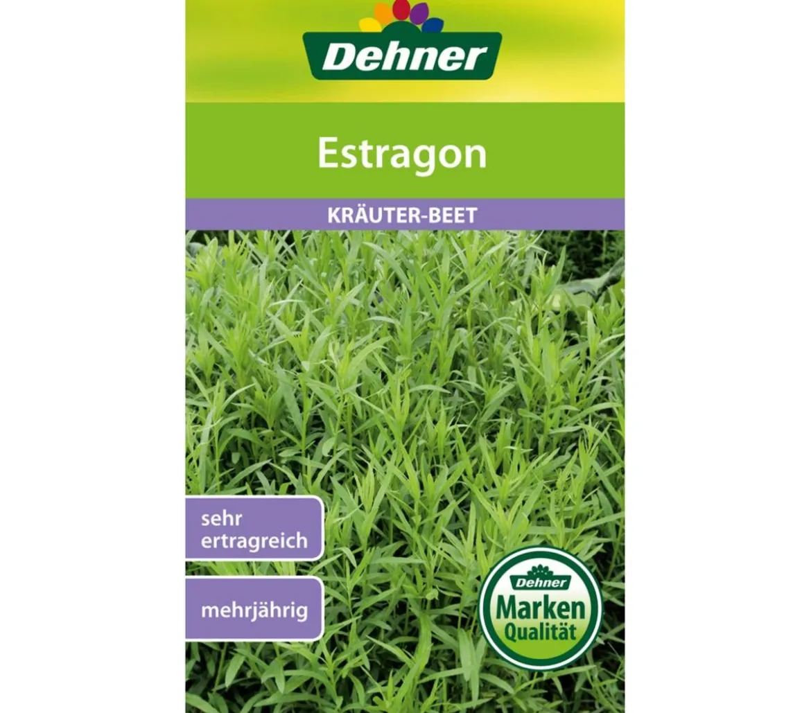 Dehner Samen Estragon