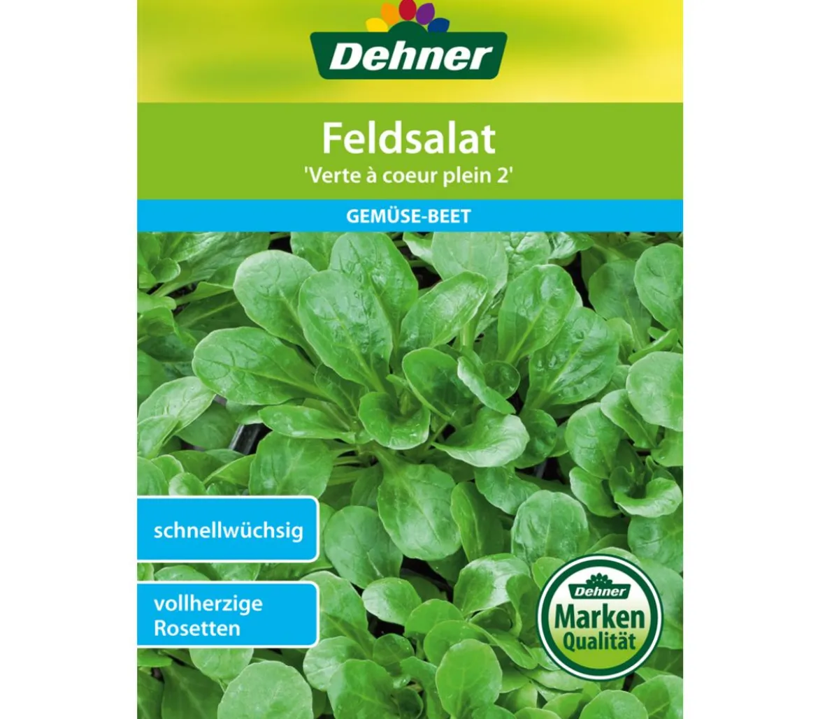 Dehner Samen Feldsalat 'Verte a coeur plein 2'