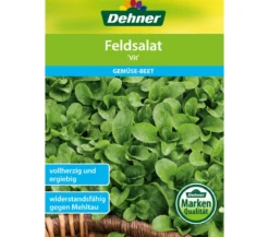 Dehner Samen Feldsalat 'Vit'
