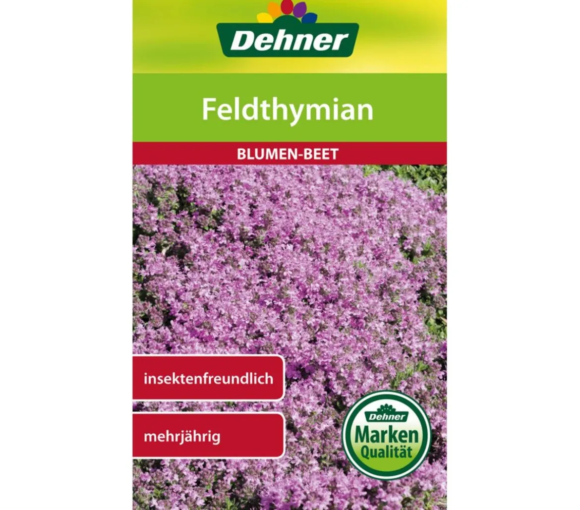 Dehner Samen Feldthymian