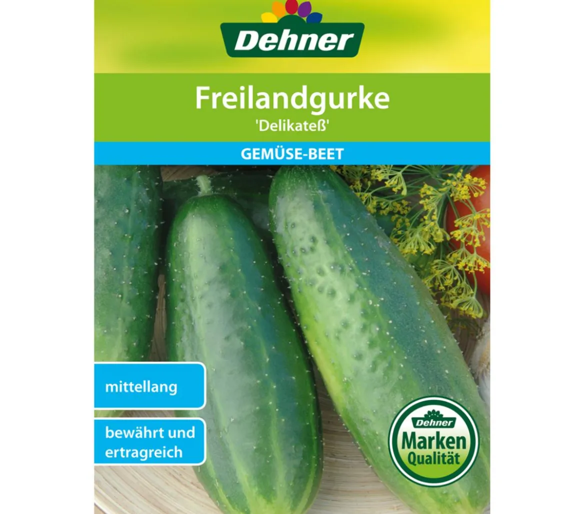 Dehner Samen Freilandgurke 'Delikateß'