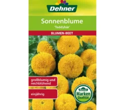 Dehner Samen für Sonnenblume 'Teddybär'