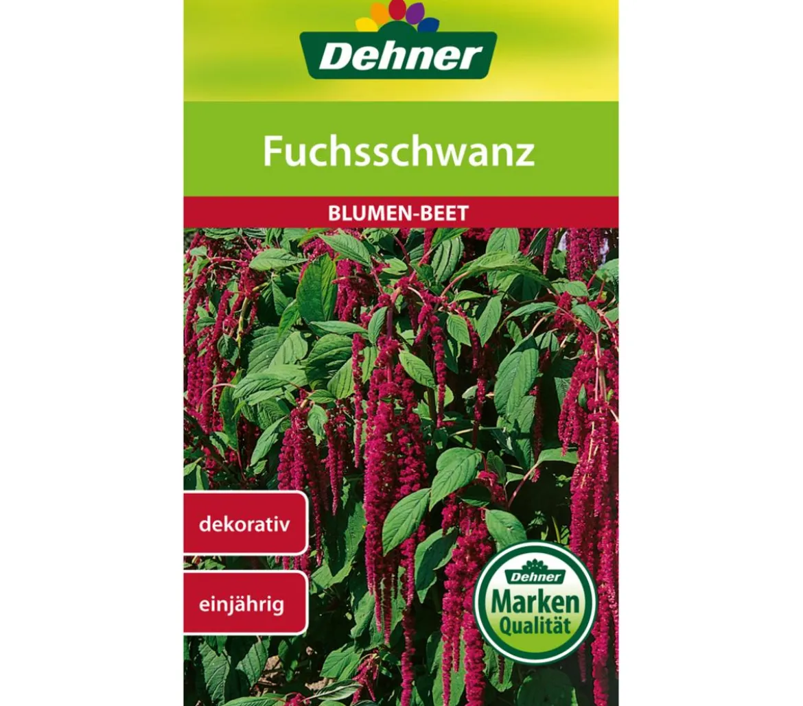 Dehner Samen Fuchsschwanz