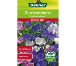 Dehner Samen Glockenblume 'Prachtmischung'