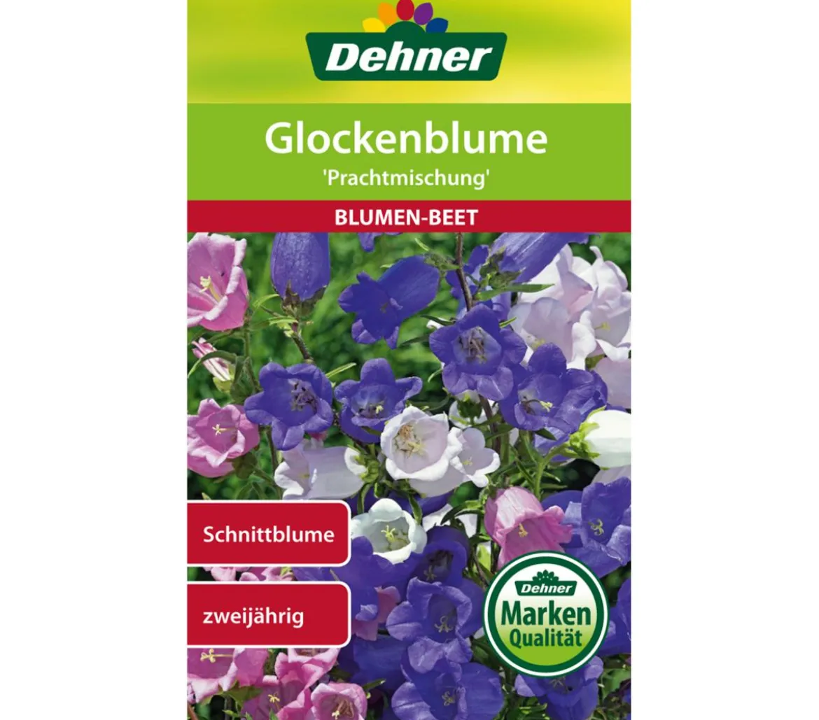 Dehner Samen Glockenblume 'Prachtmischung'