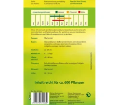 Dehner Samen Glockenblume 'Prachtmischung'