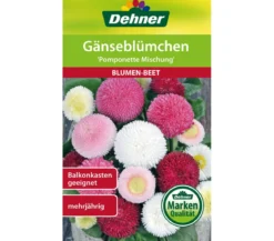 Dehner Samen Gänseblümchen 'Pomponette Mischung'