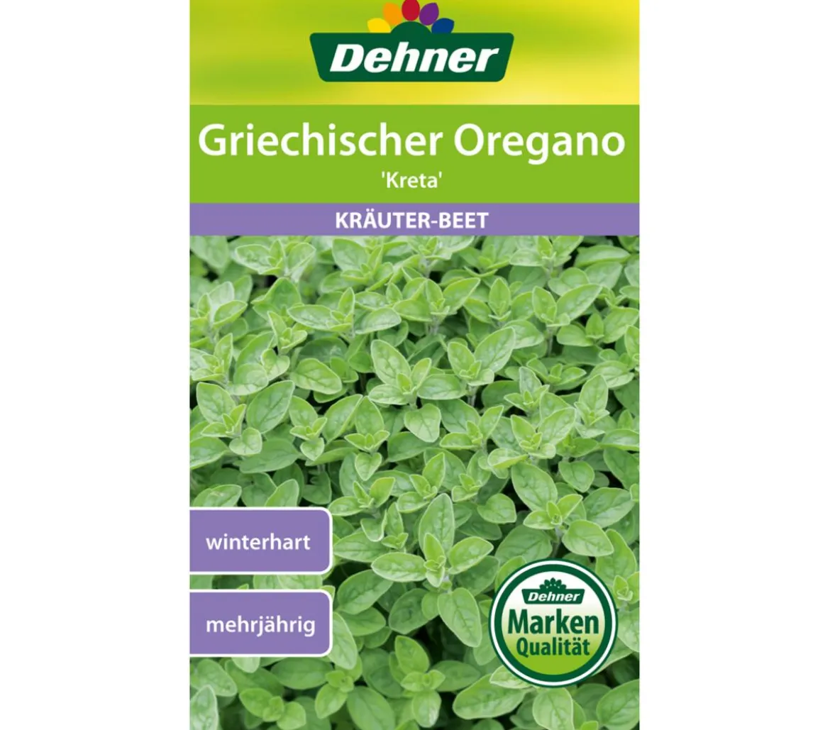 Dehner Samen Griechischer Oregano 'Kreta'