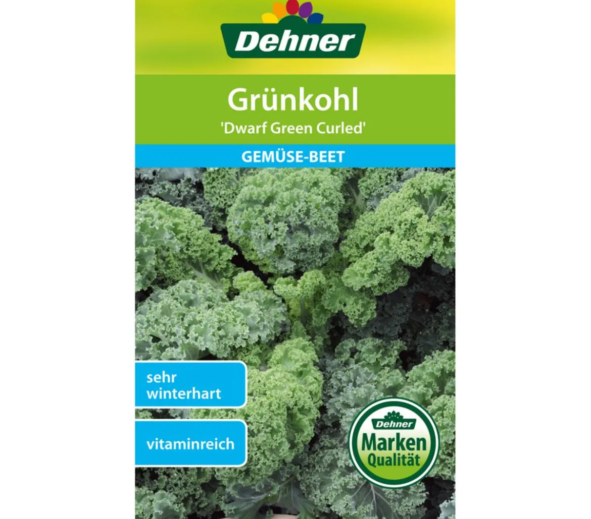 Dehner Samen Grünkohl 'Dwarf Green Curled'