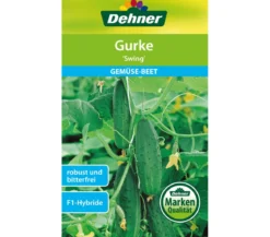 Dehner Samen Gurke 'Swing'