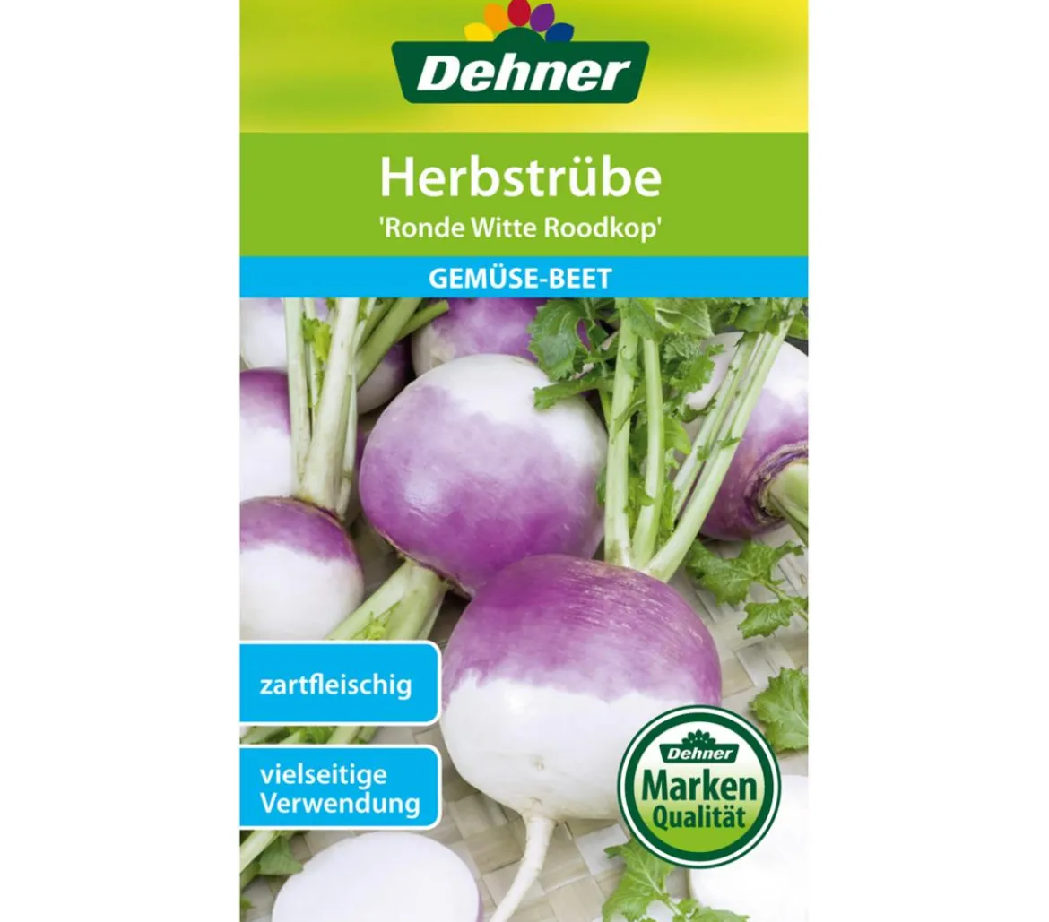 Dehner Samen Herbstrübe 'Ronde Witte Roodkop'