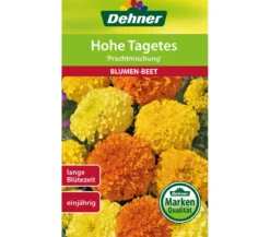 Dehner Samen Hohe Tagetes 'Prachtmischung'