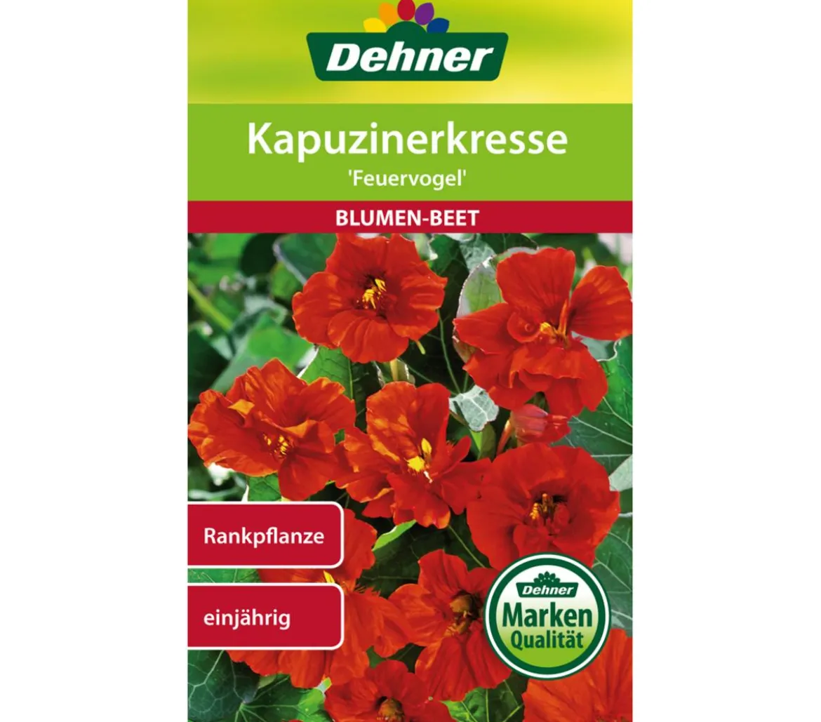 Dehner Samen Kapuzinerkresse 'Feuervogel'