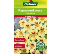 Dehner Samen Kapuzinerkresse 'Peach Melba'
