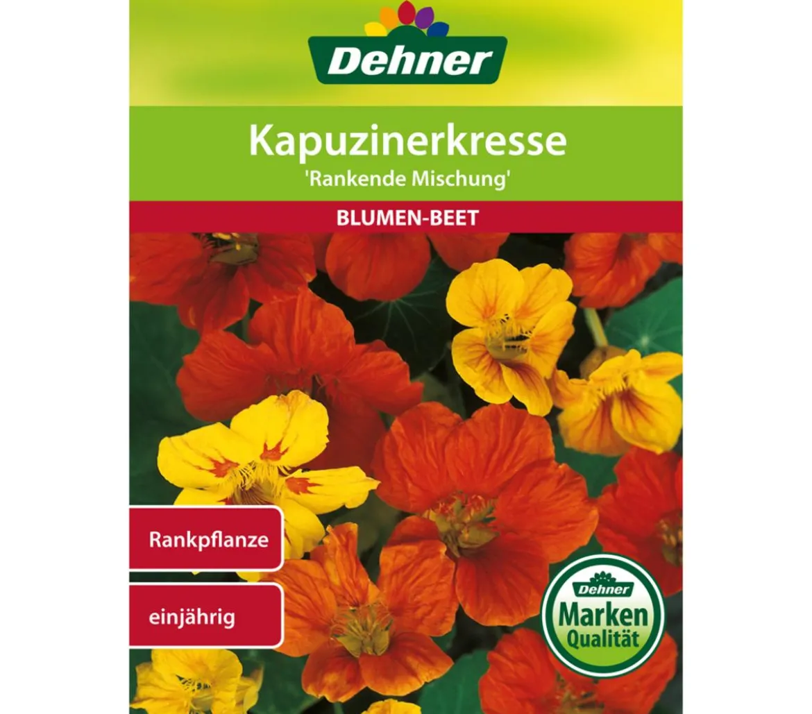 Dehner Samen Kapuzinerkresse 'Rankende Mischung'