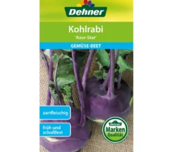 Dehner Samen Kohlrabi 'Azur-Star'
