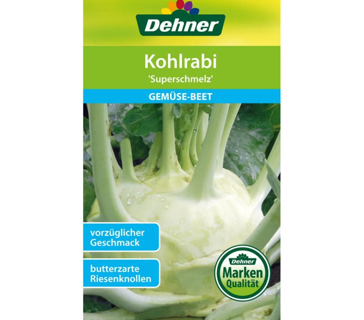 Dehner Samen Kohlrabi 'Superschmelz'