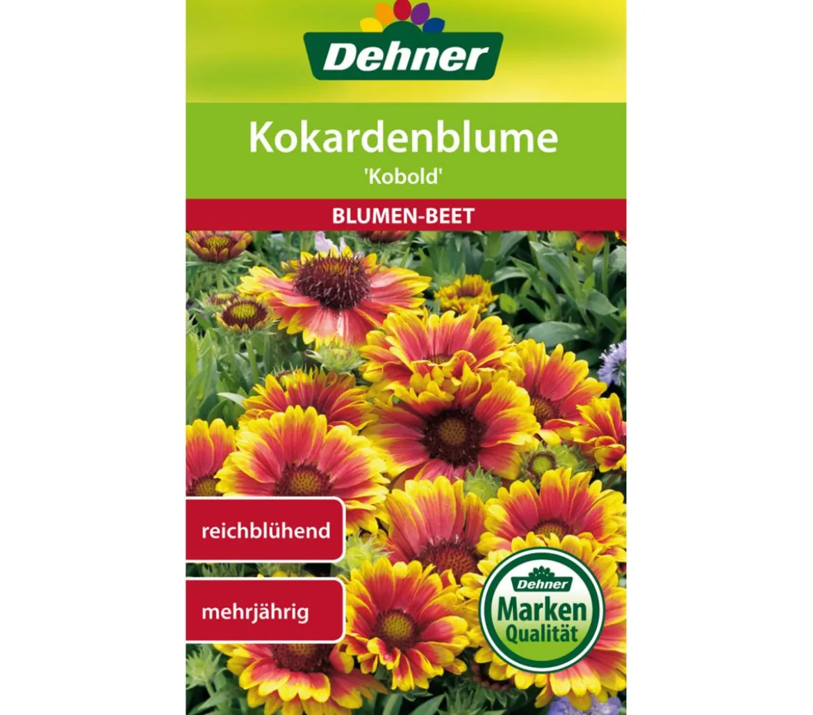 Dehner Samen Kokardenblume 'Kobold'