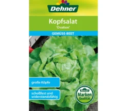 Dehner Samen Kopfsalat 'Ovation'