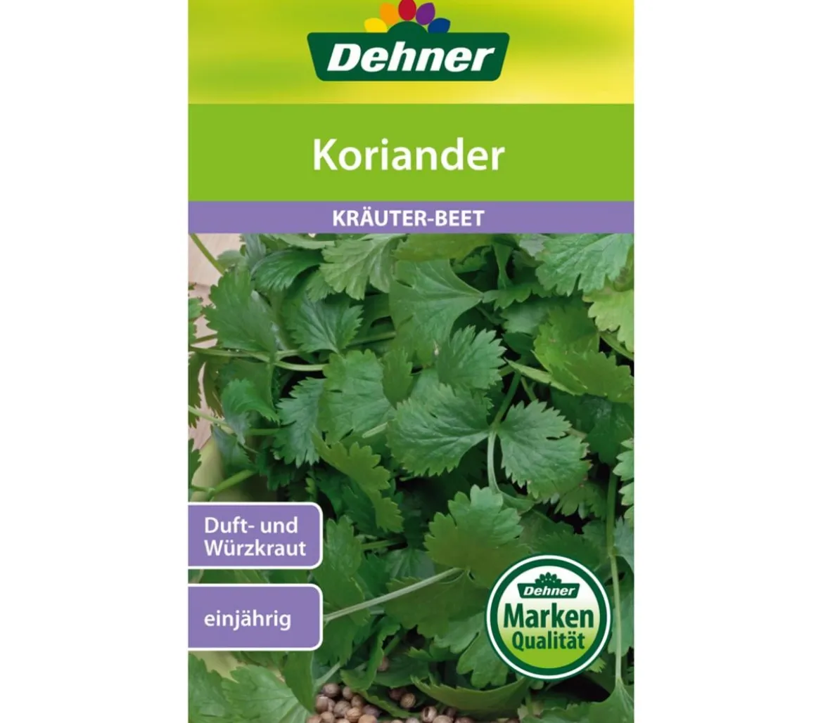 Dehner Samen Koriander