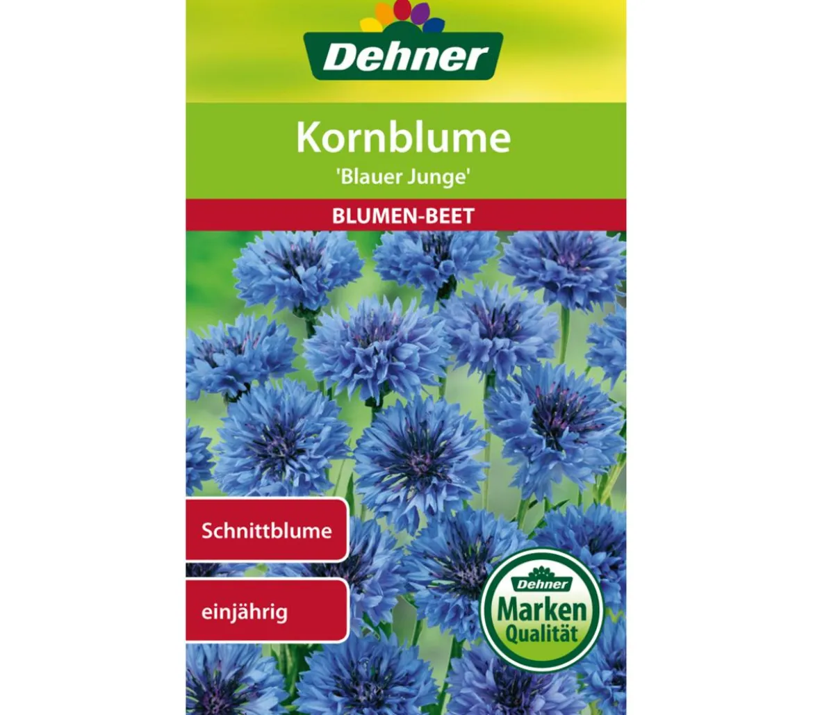 Dehner Samen Kornblume 'Blauer Junge'