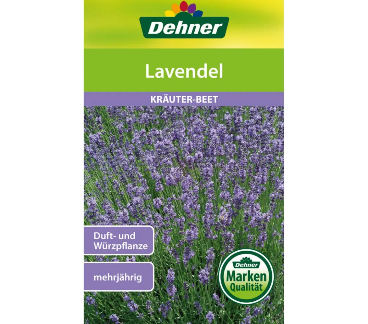 Dehner Samen Lavendel