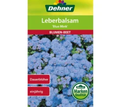 Dehner Samen Leberbalsam 'Blue Mink'