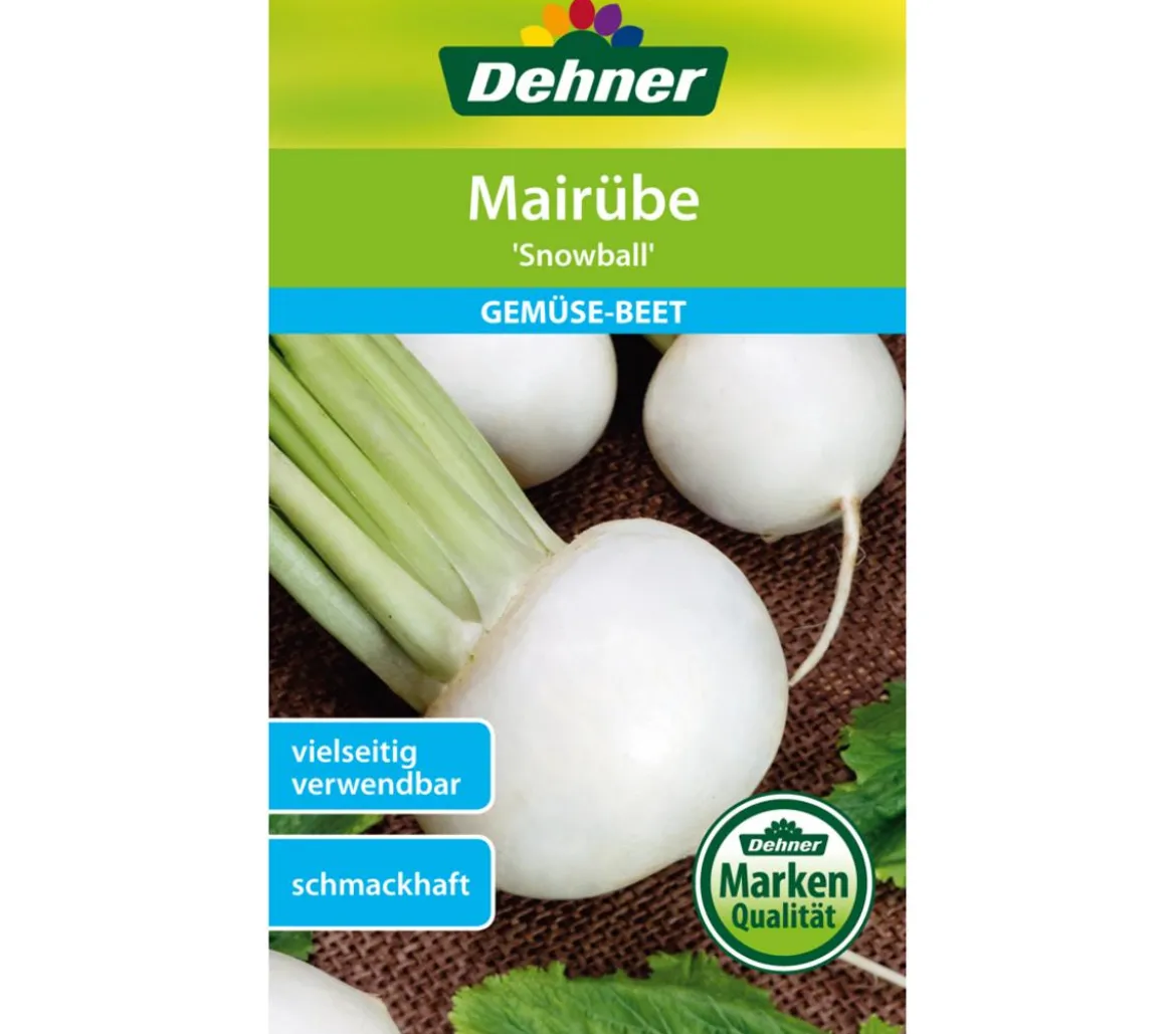 Dehner Samen Mairübe 'Snowball'